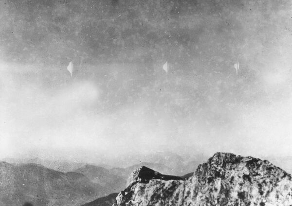 عنصر پرنده ای که عکاس اریش قیصر هنگام فرود خود از کوه ریچنشتاین در اتریش در تاریخ 3 آگوست 1954 مشاهده کرده است - اسپوتنیک افغانستان  