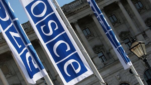 Flags with a logo of OSCE in Vienna - اسپوتنیک افغانستان  