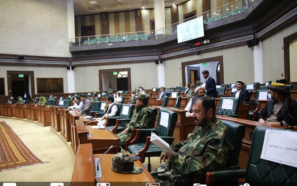 حمایت سناتوران از نیروهای دفاعی و امنیتی افغانستان - اسپوتنیک افغانستان  