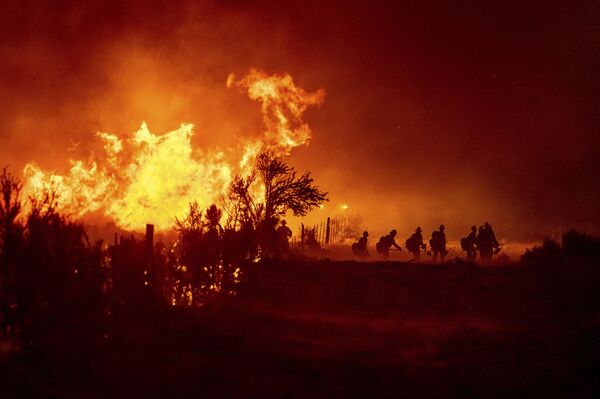 مبارزه با آتش سوزی در جنگل ملی کالیفرنیا Plumas. - اسپوتنیک افغانستان  