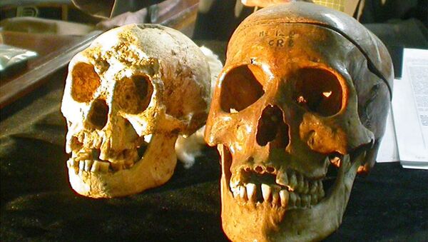 The skull, left, of a 54,000-year-old species, known as Homo floresiensis, is displayed next to a normal human's skull, right, at a news conference in Yogyakarta, Indonesia Friday, Nov. 5, 2004. H floresiensis was nicknamed the hobbits due to their diminutive size. - اسپوتنیک افغانستان  
