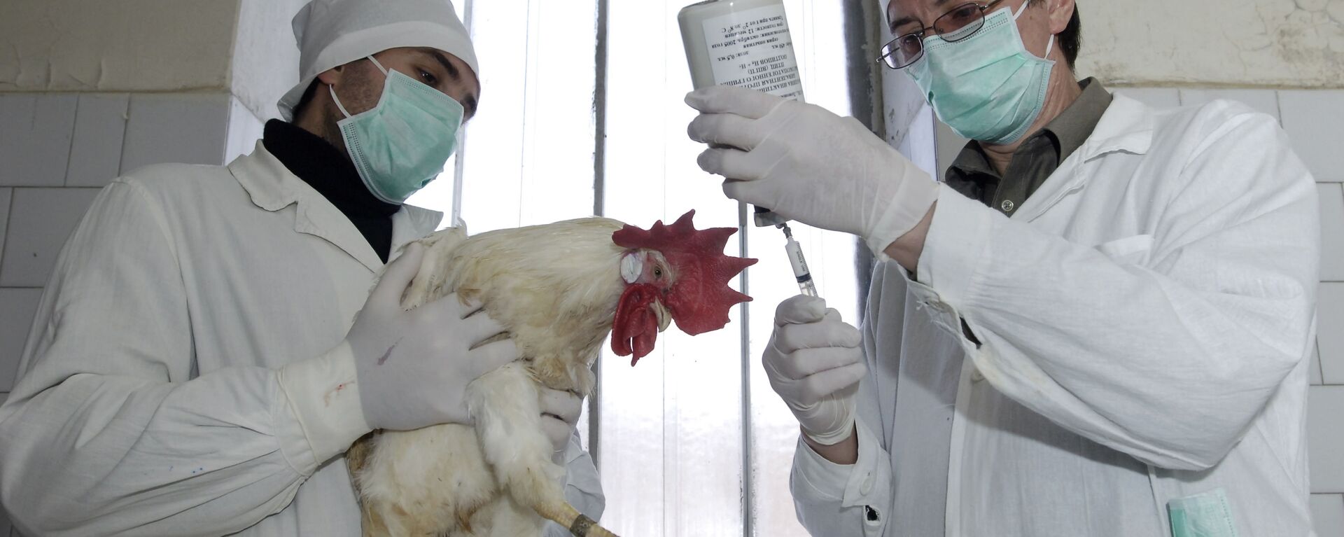  ثبت اولین واقعه مرگ انسان بر اثر آنفلوانزای مرغی در هند      - اسپوتنیک افغانستان  , 1920, 21.07.2021