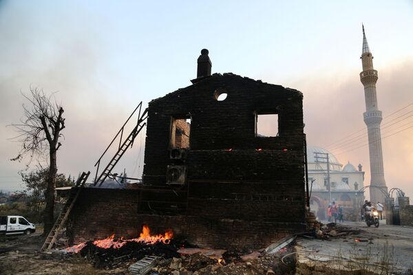 آتش سوزی های جنگلی در ترکیه - اسپوتنیک افغانستان  