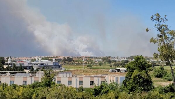آتش سوزی های جنگلی در ترکیه - اسپوتنیک افغانستان  