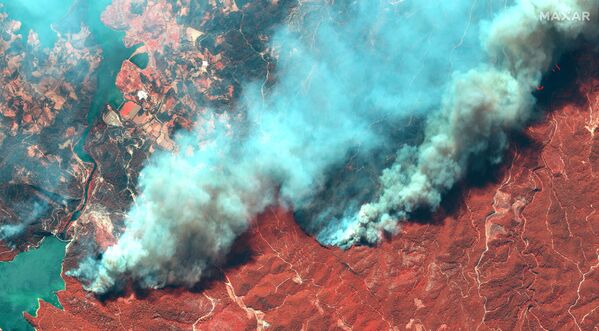 بهترین عکس های این هفته اسپوتنیک/ آتش سوزی در ترکیه - اسپوتنیک افغانستان  