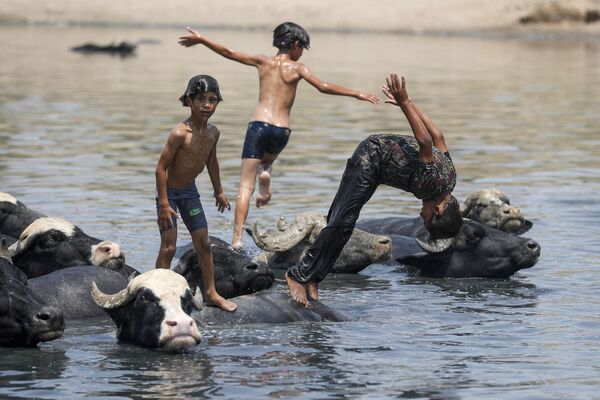 بهترین عکس های این هفته اسپوتنیک/کودکان در عراق - اسپوتنیک افغانستان  