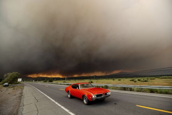 بهترین عکس های این هفته اسپوتنیک/آتش سوزی در کالیفرنیا - اسپوتنیک افغانستان  