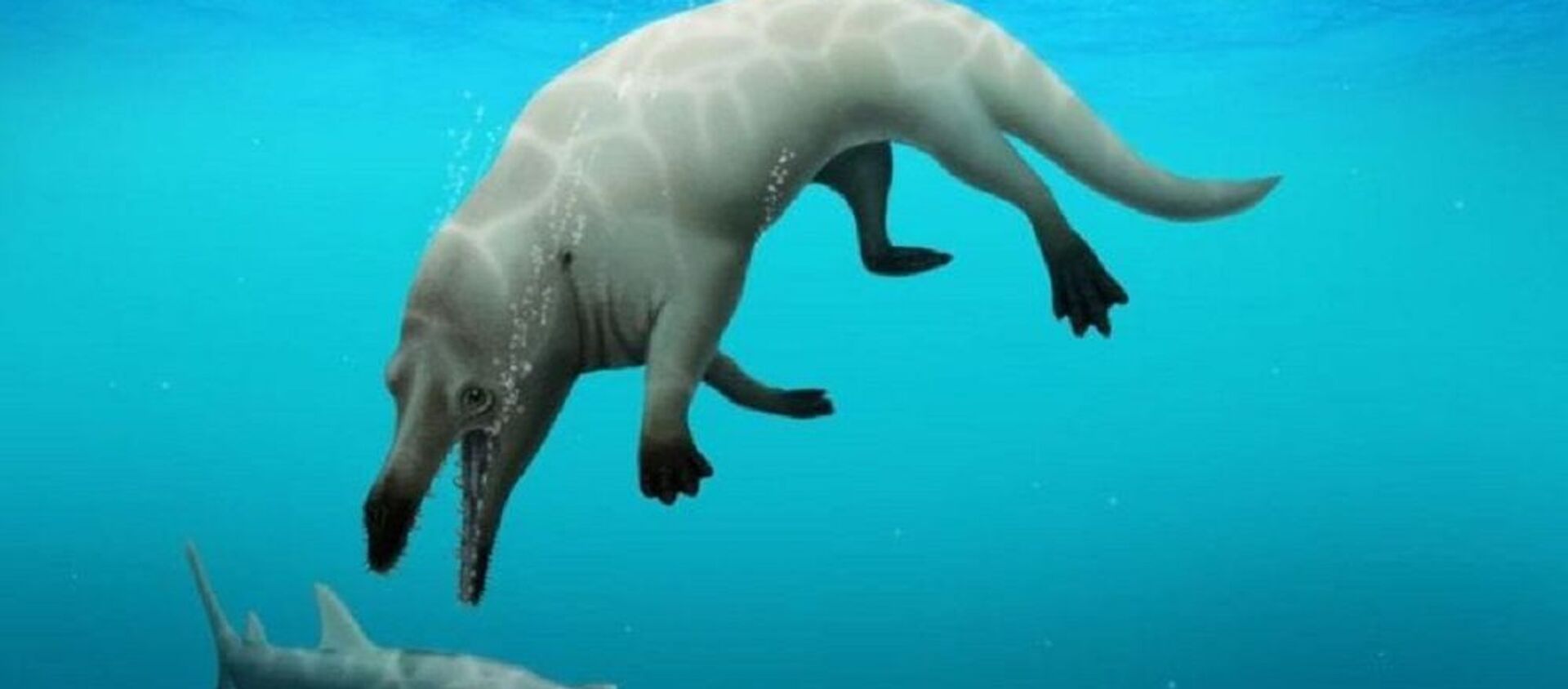کشف فسیل نهنگ چهارپای 43 ‌میلیون‌ ساله در مصر + ویدیو - اسپوتنیک افغانستان  , 1920, 29.08.2021