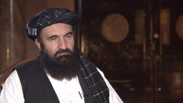طالبان: هنوز تصمیمی برای شرکت در نشست کشورهای همسایه در تهران نگرفته‌ایم - اسپوتنیک افغانستان  