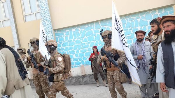 بازداشت چندین داعشی در کابل توسط طالبان - اسپوتنیک افغانستان  