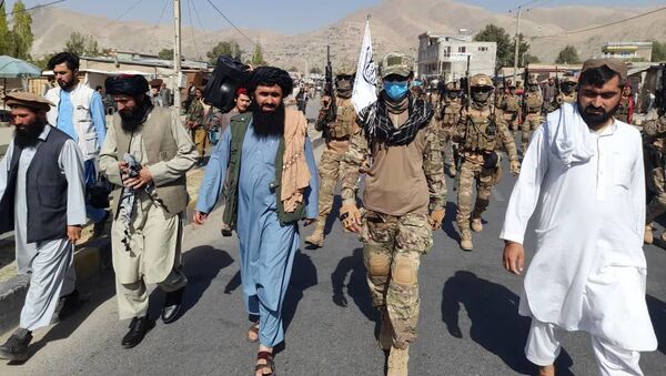 سخنگوی طالبان: داعش تهدید جدی برای افغانستان نیست - اسپوتنیک افغانستان  