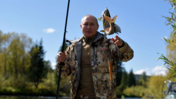 رئیس جمهور روسیه هنگام ماهیگیری در سیبریا. - اسپوتنیک افغانستان  