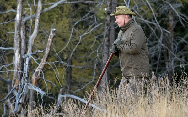 پیاده روی رئیس  جمهور روسیه در تایگا جنگل های سیبریا. - اسپوتنیک افغانستان  
