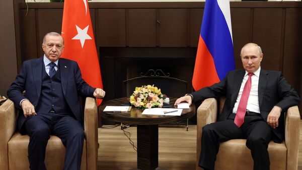 Президент России Владимир Путин и президент Турции Реджеп Тайип Эрдоган во время встречи в Сочи - اسپوتنیک افغانستان  