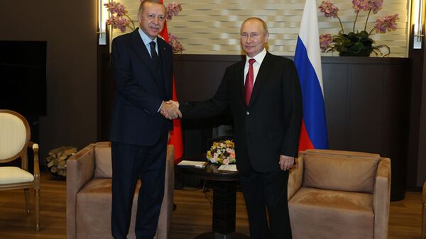 Встреча Путина и Эрдогана в Сочи - اسپوتنیک افغانستان  