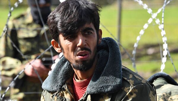 پناهجویان افغان در مرز بلاروس و لهستان - اسپوتنیک افغانستان  