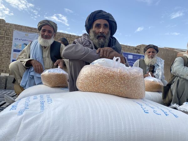 کمک های بشردوستانه برنامه جهانی غذا در قندهار. - اسپوتنیک افغانستان  