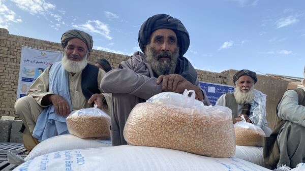 Гуманитарная помощь WFP в Кандагаре - اسپوتنیک افغانستان  