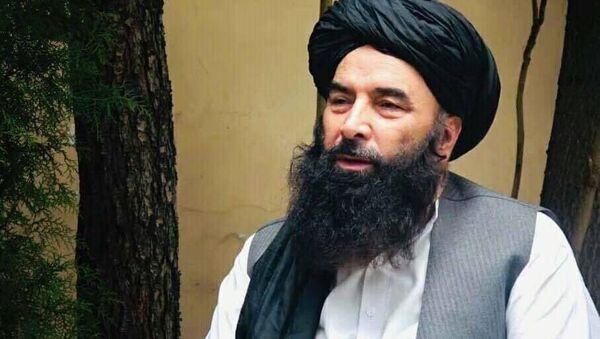 شورای راه نجات: طالبان اگر با مردم تعامل نکند حکومت‌شان سقوط می کند  - اسپوتنیک افغانستان  