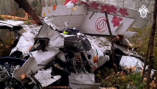 سقوط یک هواپیما از تاتارستان + ویدیو - اسپوتنیک افغانستان  