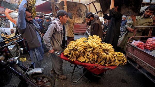 طالبان: محیط و فرصت‌ سرمایه‌گذاری‌های خارجی و داخلی فراهم شده است - اسپوتنیک افغانستان  