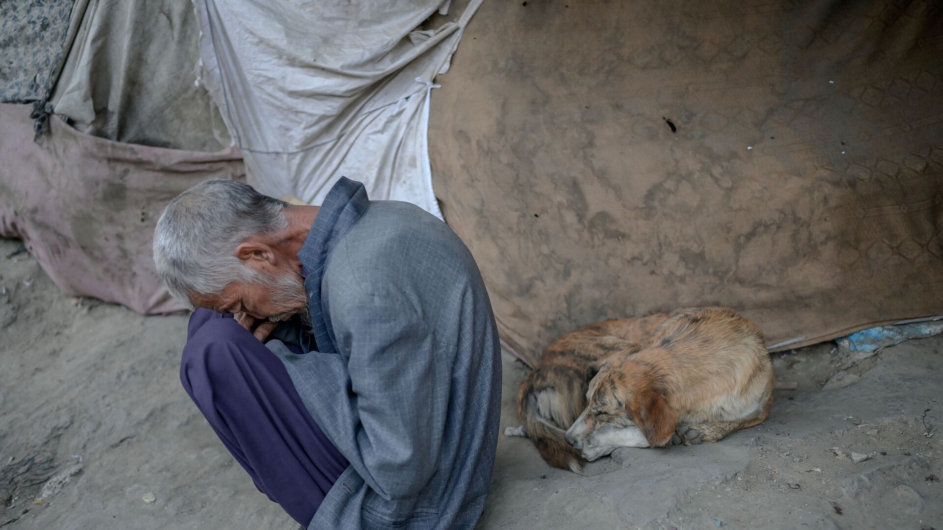 Наркоман, спящий рядом с собакой под мостом в Кабуле - اسپوتنیک افغانستان  , 1920, 08.08.2022