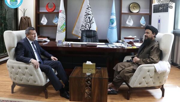 دیدار وزیر انرژی و آب طالبان با سفیر ترکمنستان - اسپوتنیک افغانستان  