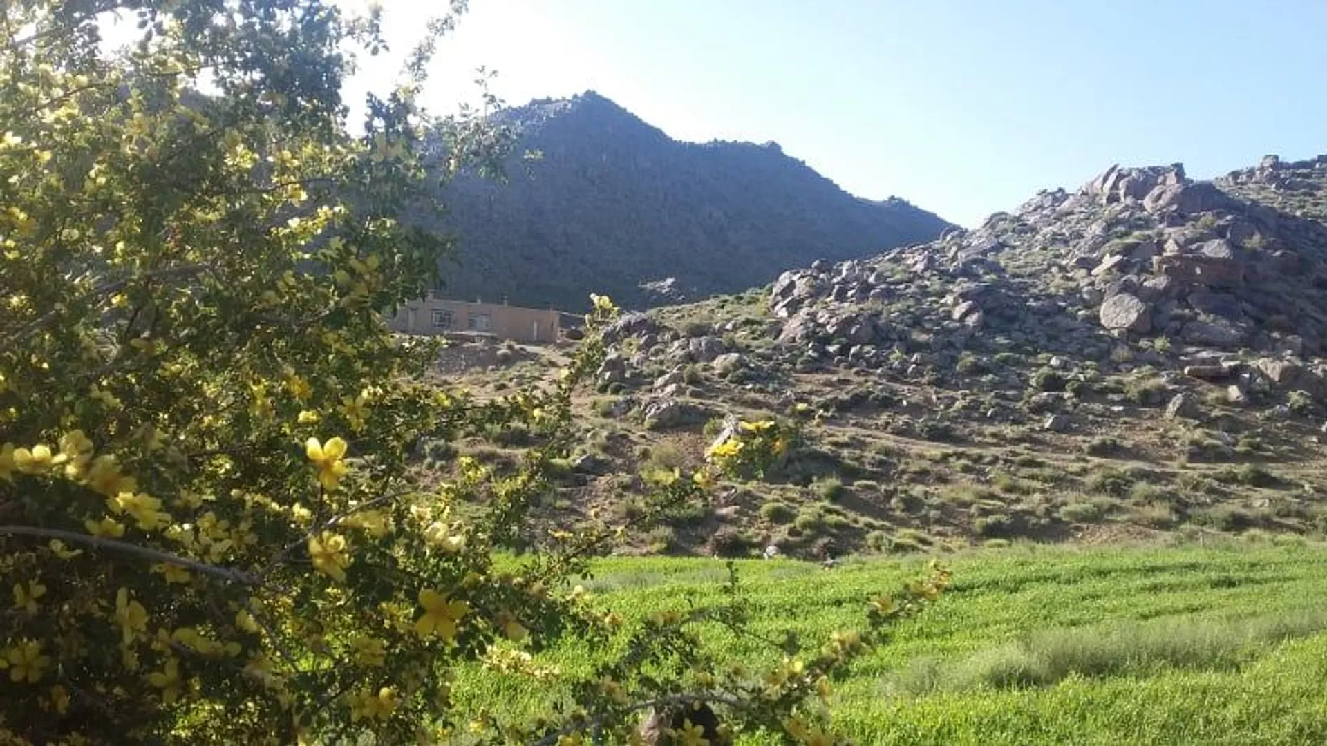  در ولسوالی جاغوری ولایت غزنی نیروهای گروه طالبان به دکانداران منطقه‌ی بابه در این ولسوالی دستور داده تا پرچم این گروه را بر دکان‌های ‌شان نصب کنند.