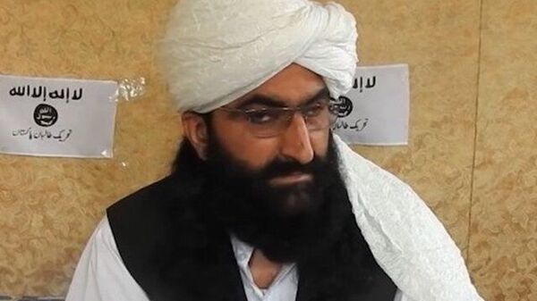 ولی محسود رهبر طالبان پاکستانی  - اسپوتنیک افغانستان  