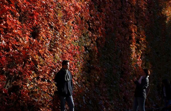 اواخر پاییز در  شهر لندن انگلیس . - اسپوتنیک افغانستان  