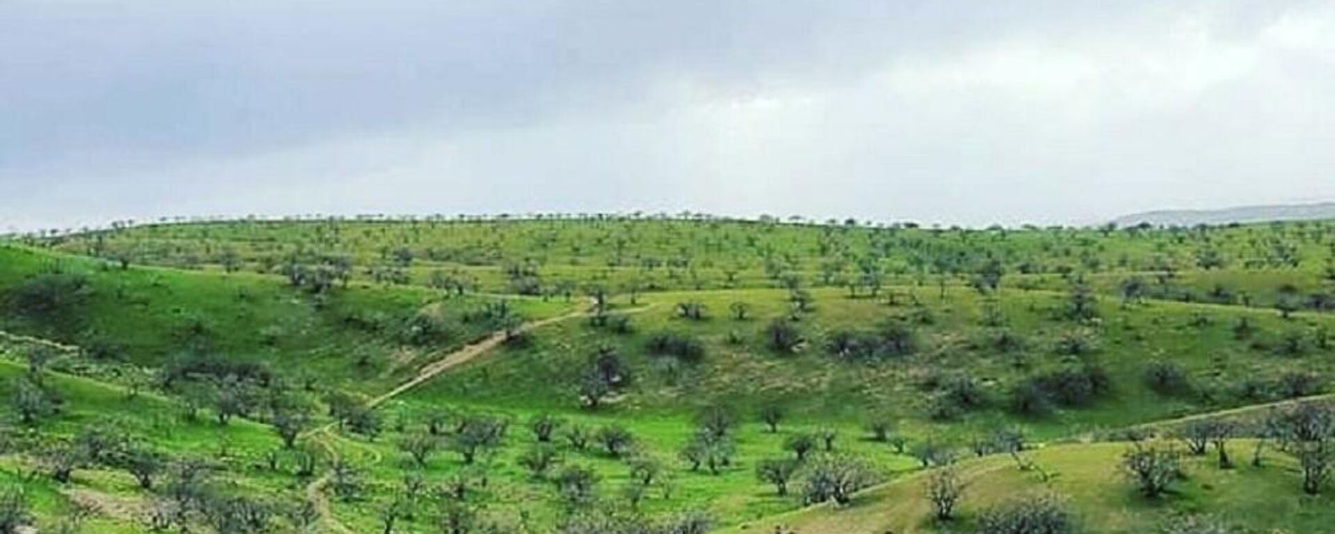 وزارت زراعت، آبیاری و مالداری
 - اسپوتنیک افغانستان  , 1920, 24.06.2023