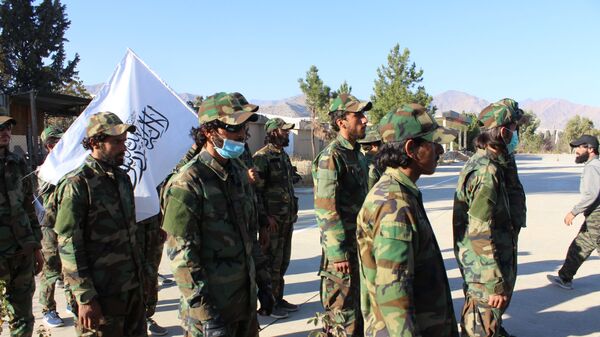 Талибы* 203-го армейского корпуса «Мансури» в афганской провинции Хост - اسپوتنیک افغانستان  