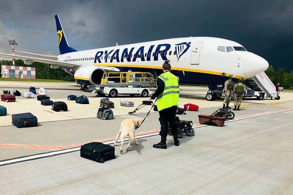 پلیس همراه سگ در حال بازرسی بار هواپیما در فرودگاه بلاروس، پس از دریافت خبر بمب گذاری در هواپیما. بمبی یافت نشد. - اسپوتنیک افغانستان  