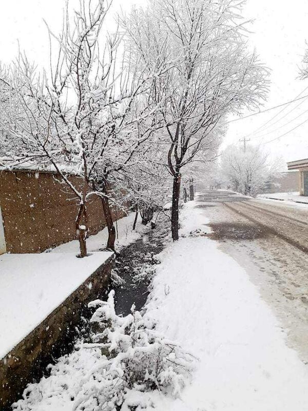 کاپیسا در جامه سپید؛ نخستین برف زمستانی در این ولایت - اسپوتنیک افغانستان  