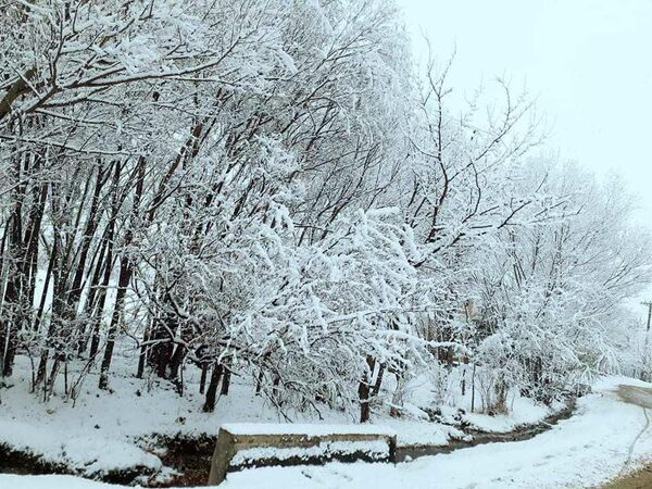 کاپیسا در جامه سپید؛ نخستین برف زمستانی در این ولایت - اسپوتنیک افغانستان  