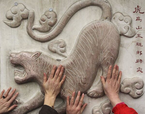  مجسمه سنگی ببر در معبدی در چین. - اسپوتنیک افغانستان  