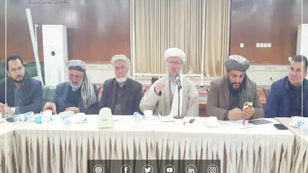 تفاهم جدید با شرکت هوایی کام‌ایر در زمینه انتقال جلغوزه به کشور چین - اسپوتنیک افغانستان  
