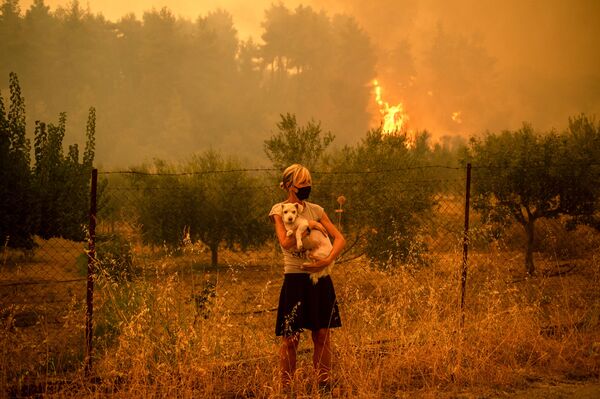 8 آگوست 2021،  آتش سوزی های جنگلی به روستای پفکی در جزیره اویا، دومین جزیره بزرگ یونان رسید. - اسپوتنیک افغانستان  