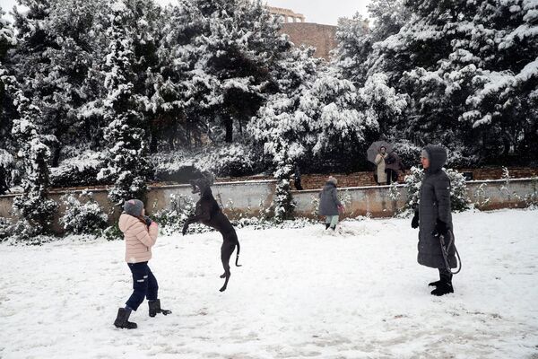 یک دختر جوان هنگام بازی با یک سگ در جریان برف باری در شهر آتن.  - اسپوتنیک افغانستان  
