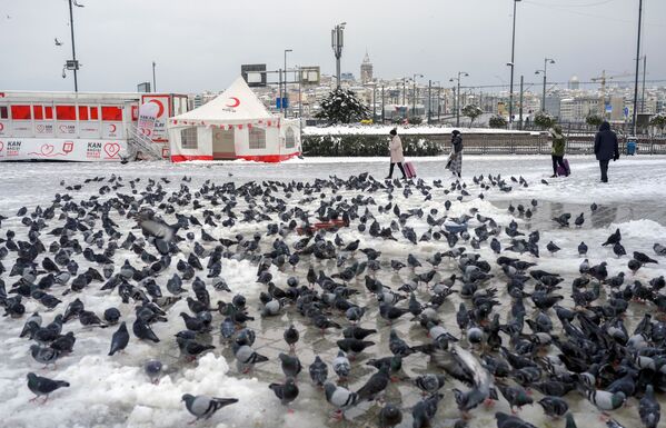 برف باری شدید در ترکیه. - اسپوتنیک افغانستان  