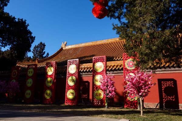 تزئین  معبد زمین در پکن برای سال نو چینی. - اسپوتنیک افغانستان  