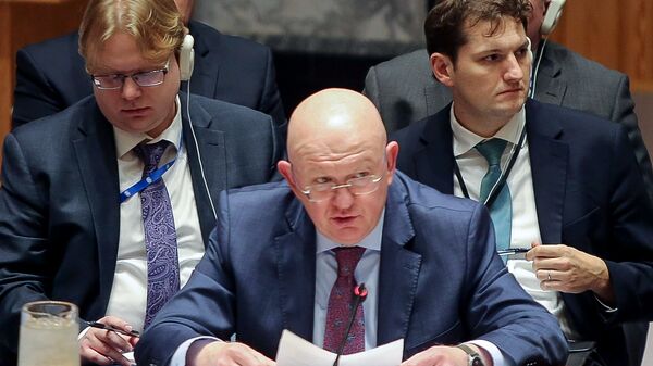 Постоянный представитель РФ при ООН Василий Небензя - اسپوتنیک افغانستان  