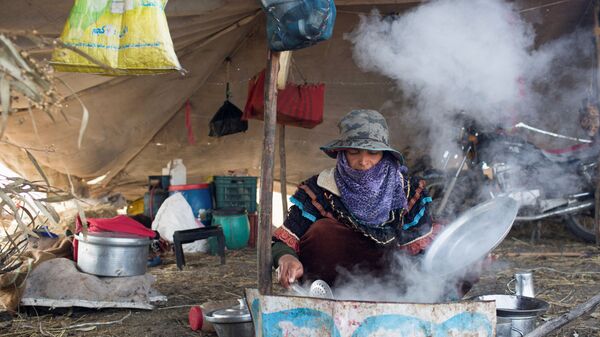 Женщина-бедуинка готовит еду в своей палатке у шоссе, ведущего в Каир в египетской провинции Кафр-Эль-Шейх в дельте Нила, Египет - اسپوتنیک افغانستان  