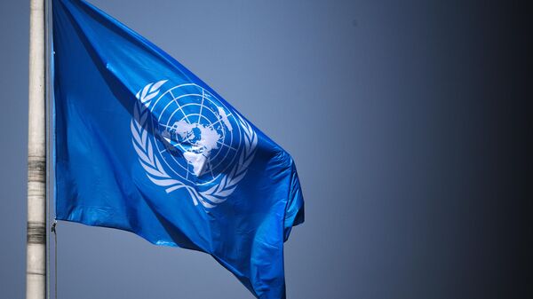   انتقاد کارشناسان حقوق بشر سازمان ملل از عملکرد های دولت طالبان - اسپوتنیک افغانستان  