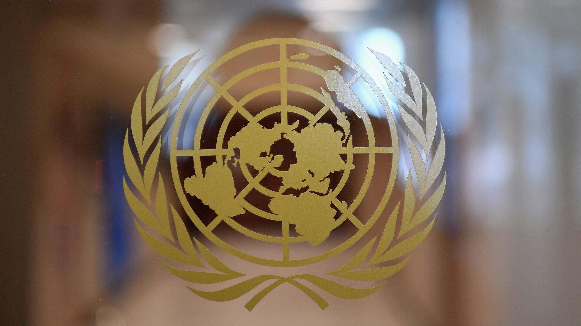 Логотип Организации Объединенных Наций будет виден внутри Организации Объединенных Наций  - اسپوتنیک افغانستان  , 1920, 25.05.2022