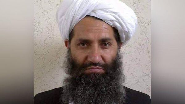ملاهبت‌الله آخندزاده رهبر طالبان - اسپوتنیک افغانستان  
