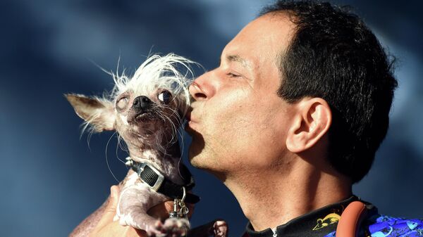 بوسیدن سگی در مسابقه زشت ترین سگ جهان در کالیفرنیا. - اسپوتنیک افغانستان  