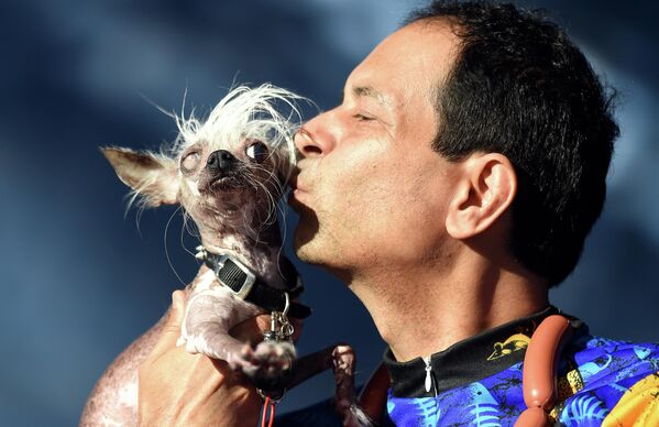 بوسیدن سگی در مسابقه زشت ترین سگ جهان در کالیفرنیا. - اسپوتنیک افغانستان  