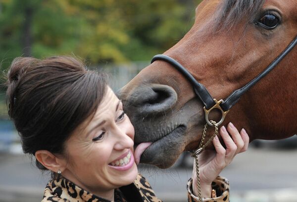 روز جهانی بوسه، اظهار محبت اسب با انسان. - اسپوتنیک افغانستان  
