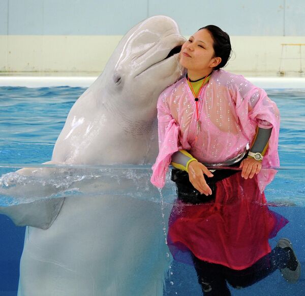 مربی دلفین سفید را می‌بوسد. - اسپوتنیک افغانستان  